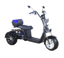 Электроскутер Skyboard MyRussia BR60 3000W