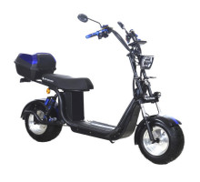 Электроскутер Skyboard Ural BR30-2WD 2×2500W