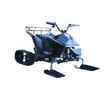 Квадроцикл Skyboard CyberTruck Sibir Kids