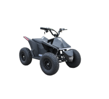Квадроцикл Skyboard CyberTruck Sochi Kids
